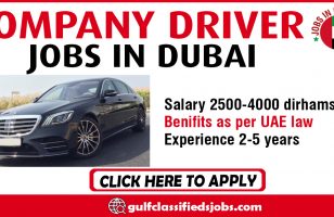 COMPANY DRIVER REQUIRED IN DUBAI