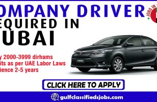 COMPANY DRIVER REQUIRED IN DUBAI