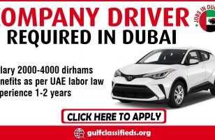 COMPANY DRIVER REQUIRED IN DUBAI