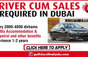 DRIVER CUM SALES REQUIRED IN DUBAI