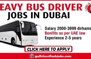 HEAVY BUS DRIVER REQUIRED IN DUBAI