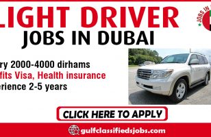 LIGHT DRIVER REQUIRED IN DUBAI