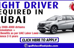 LIGHT DRIVER REQUIRED IN DUBAI