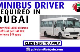 MINIBUS DRIVER REQUIRED IN DUBAI