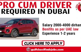 PRO CUM DRIVER REQUIRED IN DUBAI